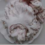 豚菊油　猪腸子油