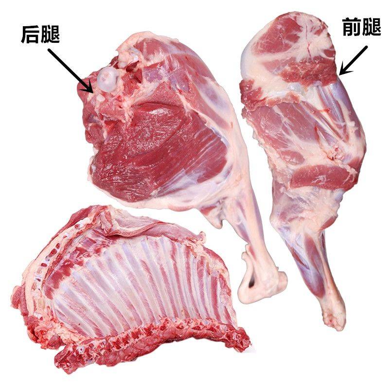 羊前レッグ（羊前腿）