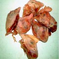 鳥頭　鶏頭