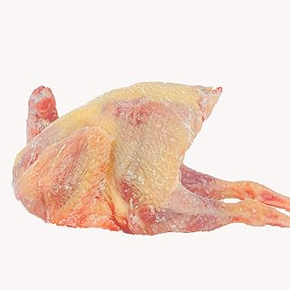 親鳥（草鶏）大