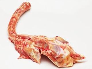 鳥ガラ 鶏骨架