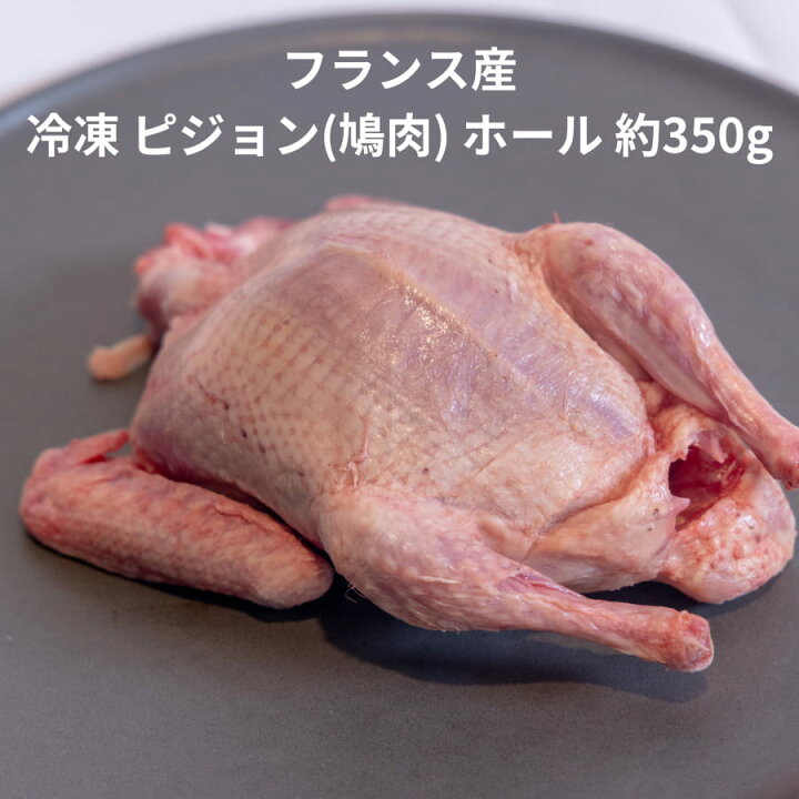 鳩子一匹