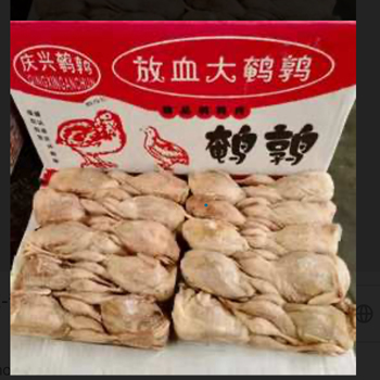 冷凍小鶉