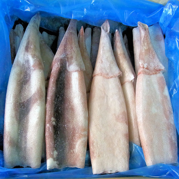 イカツボ抜き中国産　無頭尤魚