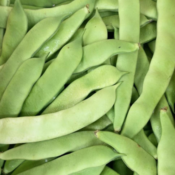 寛豆角ーーーーー時価