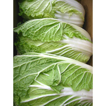 白菜ーーーーー時価