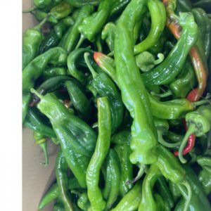 線椒ーーー時価