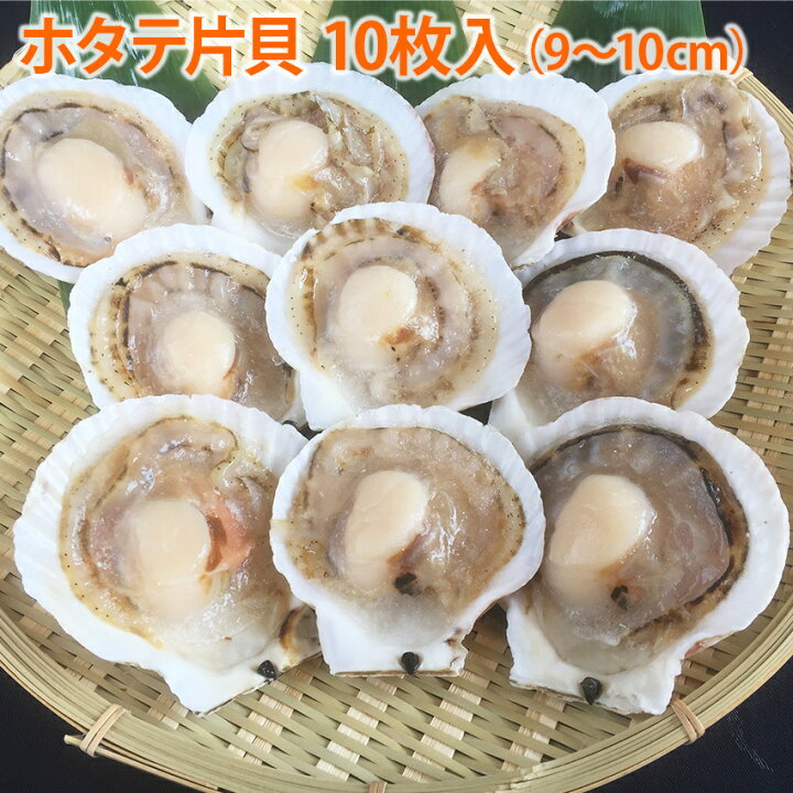 ホタテ片貝